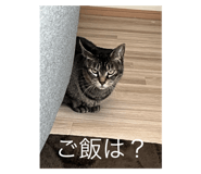 742393821
