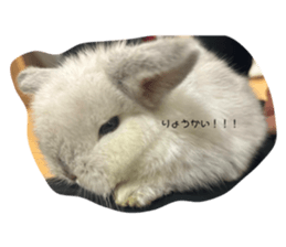 742417220