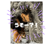 742417510