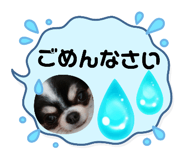 742426686