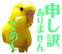 742427774