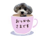 742430379