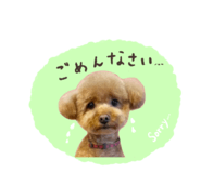 742430382