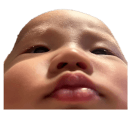742430617