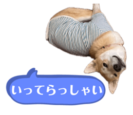 742454035