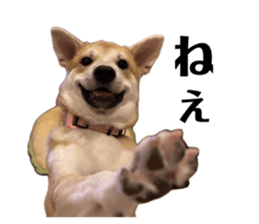 742454044