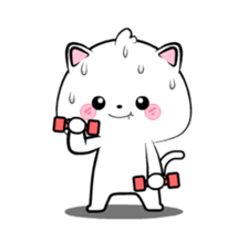 742454300