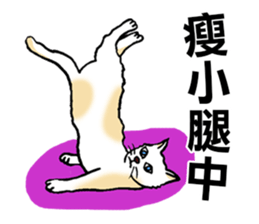 7424665