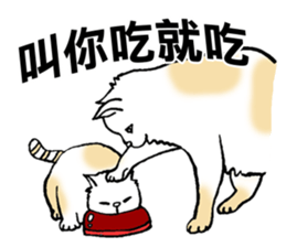 7424676