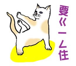 7424681
