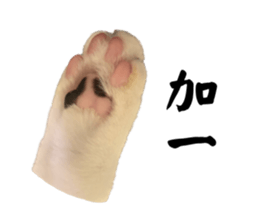 742470092