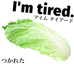 742527862