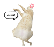 742542662
