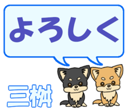 742546205