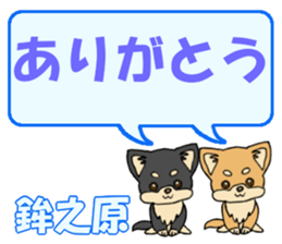 742546338