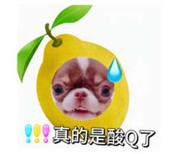 742550418