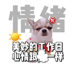742550419