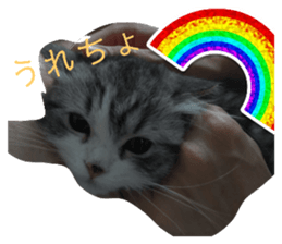 742553777