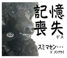 742554075