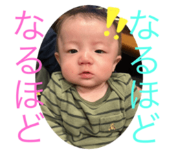 742555394