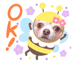 742557756