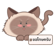 742558497