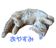 742559181