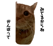 742559187