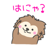 742562593