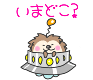 742562620