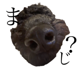 742564769