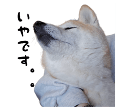 742567663