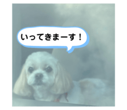 742569307