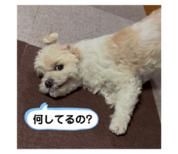 742569317