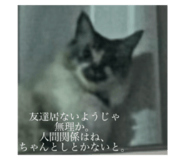 742573308