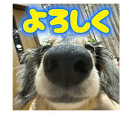 742574087