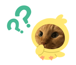 742578965