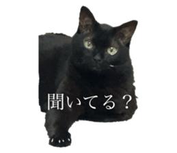 742583091