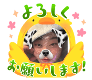 742583285