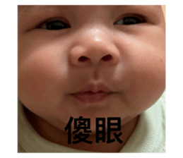 742588049