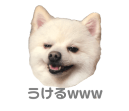 742589732