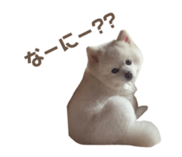 742589736
