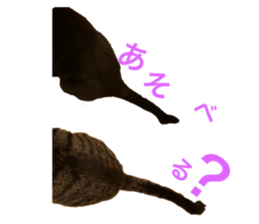 742595713