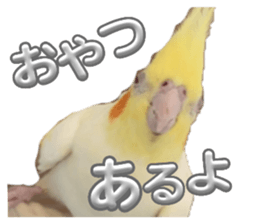 742596285