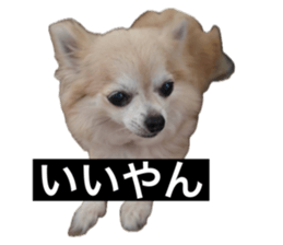 742596309