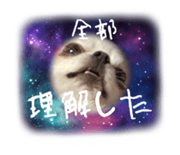 742626737