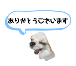 742626751