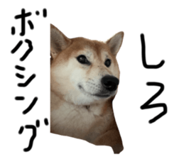 742627730