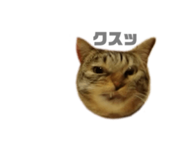 742629649