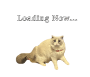 742630408
